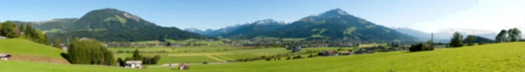 Wiesen vor dem Kitzbüheler Horn