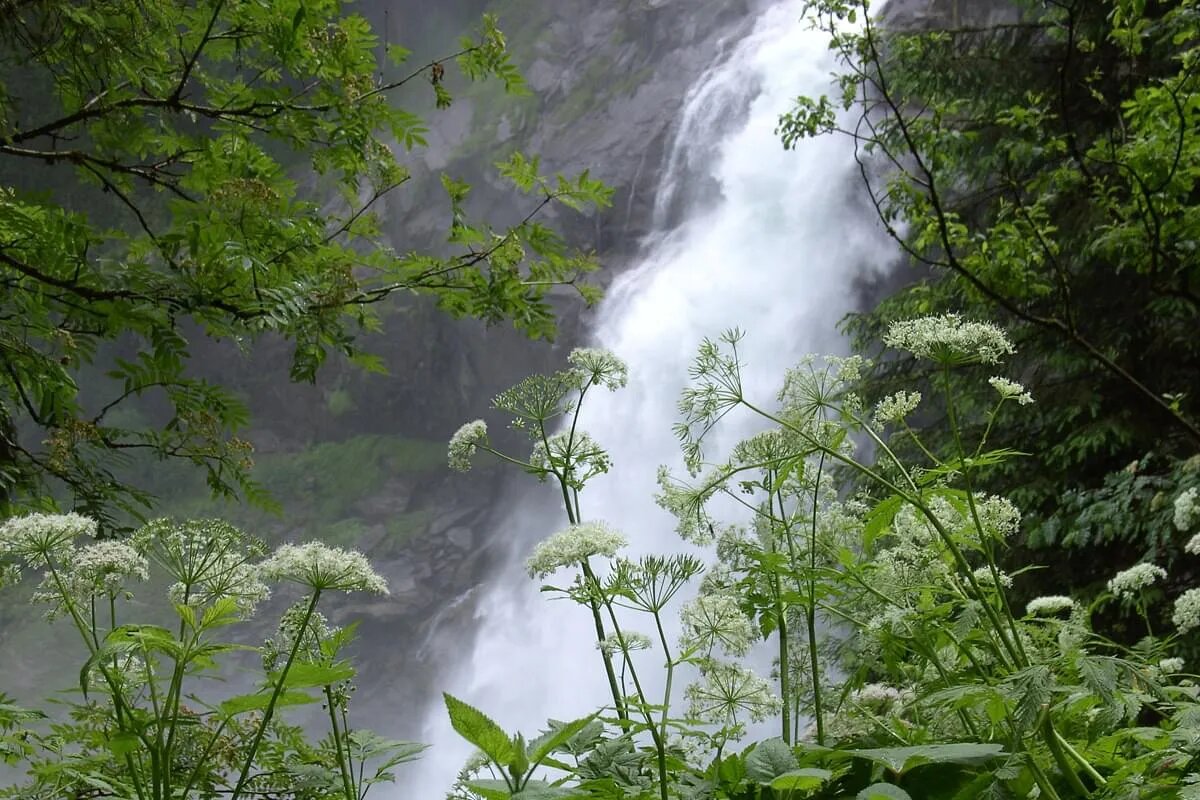 Die Krimmler Wasserfälle stürzen ins Tal