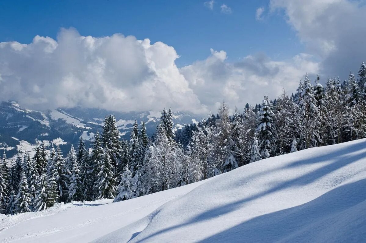Schneeschuhwanderung
