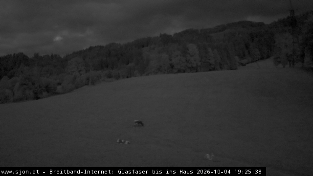 Webcam Penzinghof
